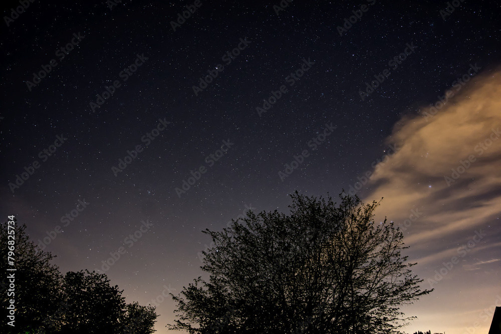 Starry sky with clouds and trees in the foreground Starry sky with clouds and trees in the foreground