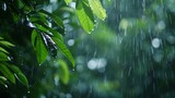 A gentle rain shower falling on a lush forest highlighting the soothing and refreshing qualities of nature and the cycle of renewal it brings..