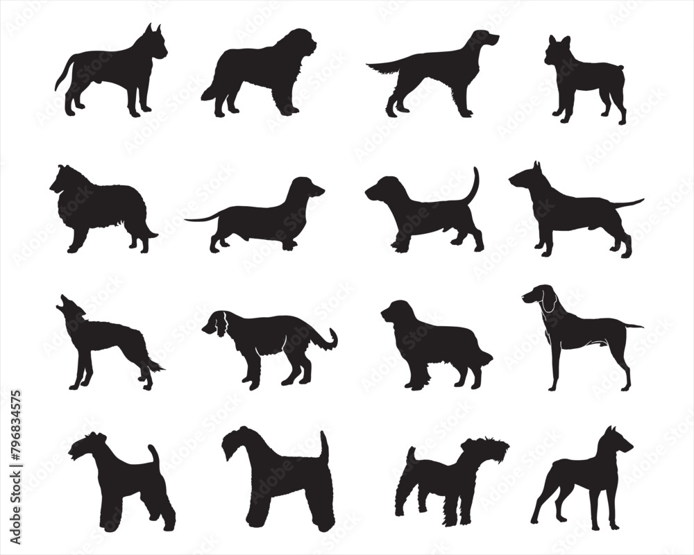 A collection of dog silhouettes in various poses and breeds. Perfect for pet lovers, veterinarians, or dog trainer. animal, canine, domestic, cute, friendly, loyal, companion