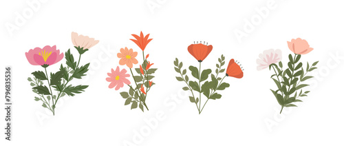 A collection of colorful spring flowers in soft colors, botanical species in flat design style, nature floral bloom decorative elements. Vector illustration