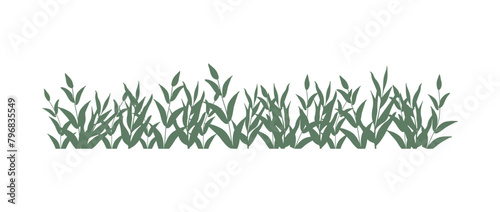 Greenery lush, green foliage border in flat design style, eco friendly theme, nature botanical leaf pattern, vector illustration