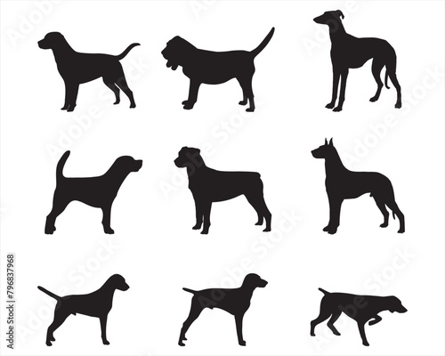 A collection of dog silhouettes in various poses and breeds. Perfect for pet lovers  veterinarians  or dog trainer. animal  canine  domestic  cute  friendly  loyal  companion