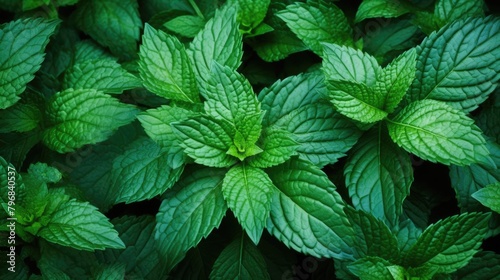 a Pastel green mint leaves of freshness and vitality, AI Generative
