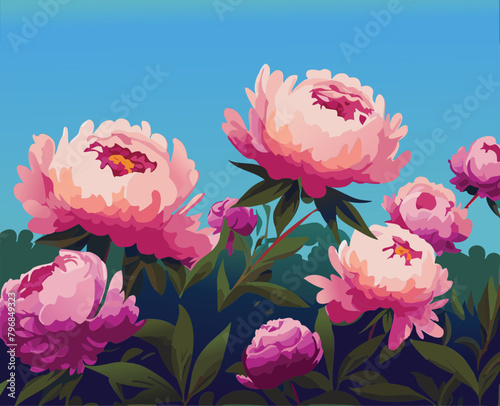 pink peony flowers with blue sky
