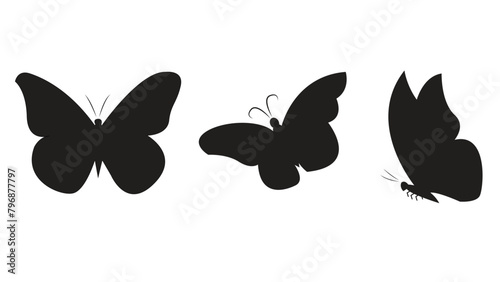 Butterfly Silhouette Image. Butterfly silhouettes flying . black and white Butterfly silhouettes flying. butterfly icon. vector butterfly