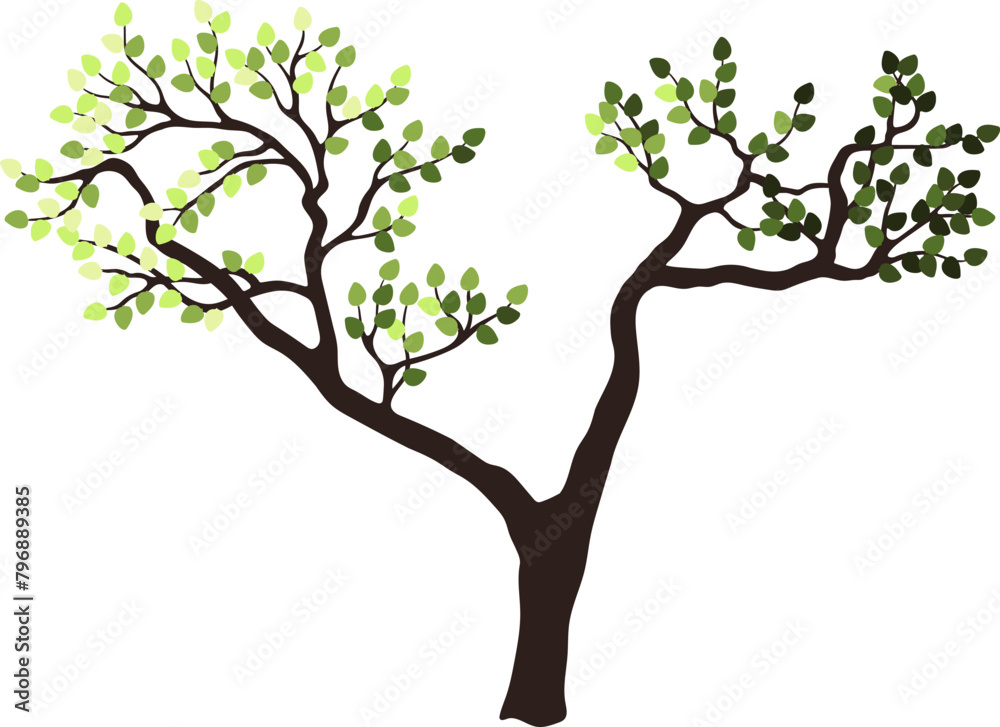 Tree silhouette for the landscape design. Entourage design. Vector illustration.