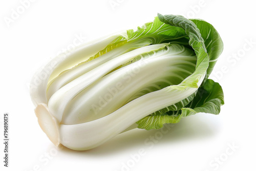 Bok choy vegetable isolated on the white background.. photo