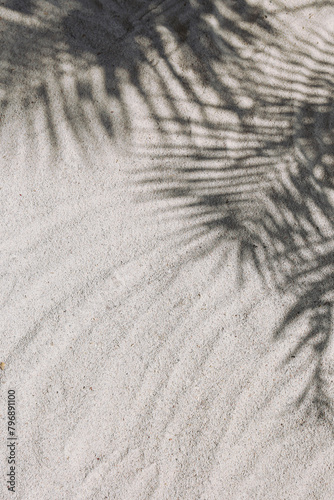 Shadow of a palm tree leaf on a beautiful white sand. Background, copy space for text.