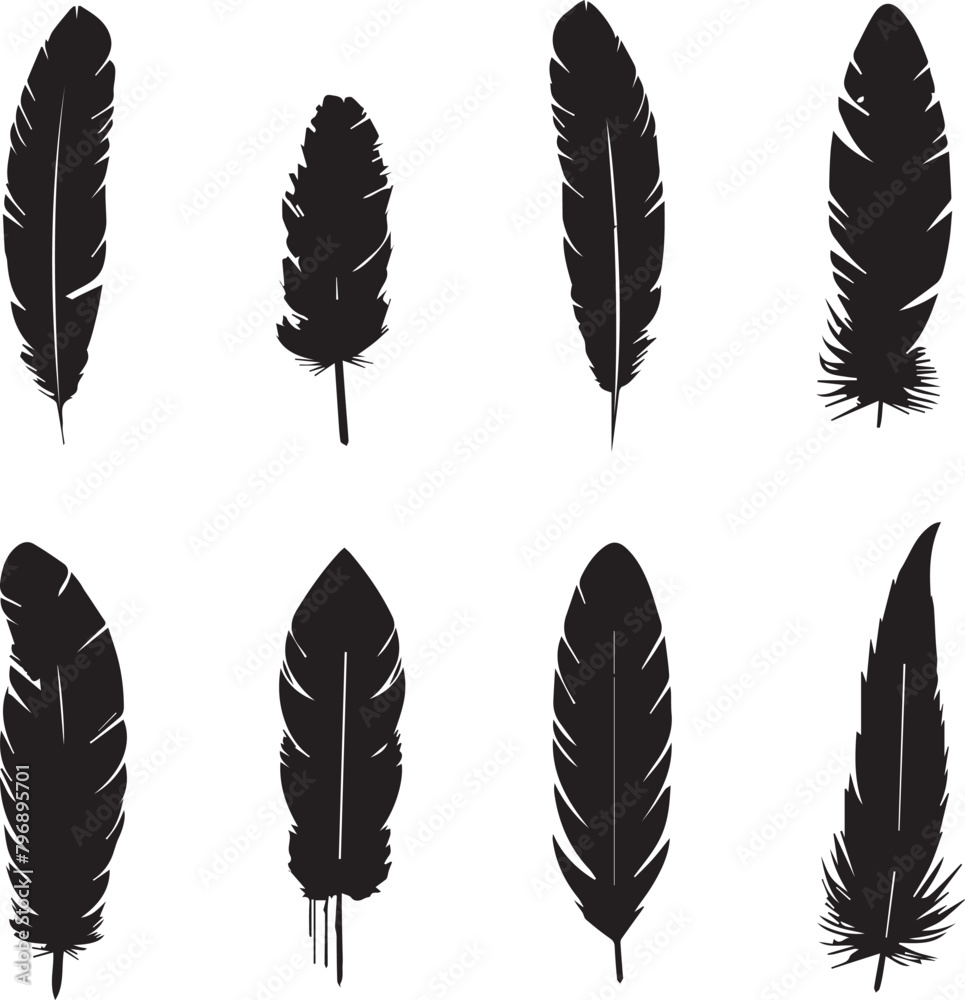 Set of silhouettes feather icons on white background Set of silhouettes feather icons on white background