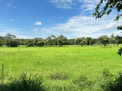 Paisaje divino en el campo con cielo azul