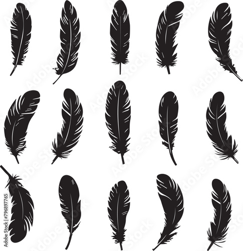 Set of feather silhouettes on white background