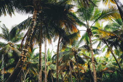 Hidden corners of the forest