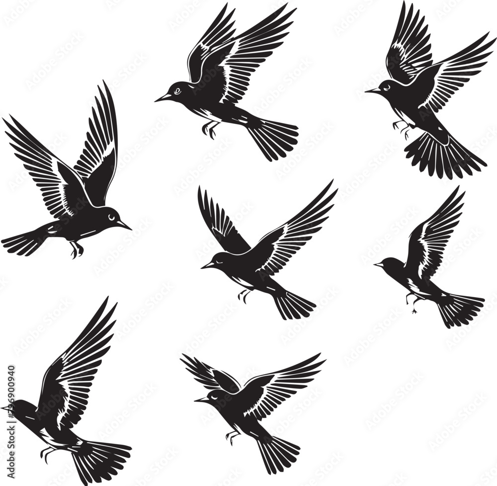 Obraz premium Set of Beautiful Birds black Silhouette on white background