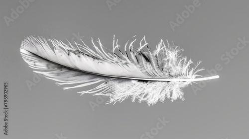  a feather drifts in air, against the backdrop of an unobstructed sky photo