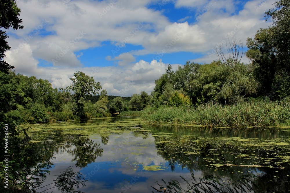 summer landscape of a river against a background of blue sky with white clouds
