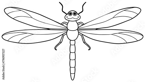 Captivating Dragonfly Exquisite Full Body Vector Illustration for Your Designs photo