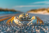 A crab is standing on the road with its legs spread out. Generative AI.
