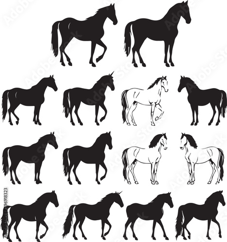set of Horse Black silhouette on white background	