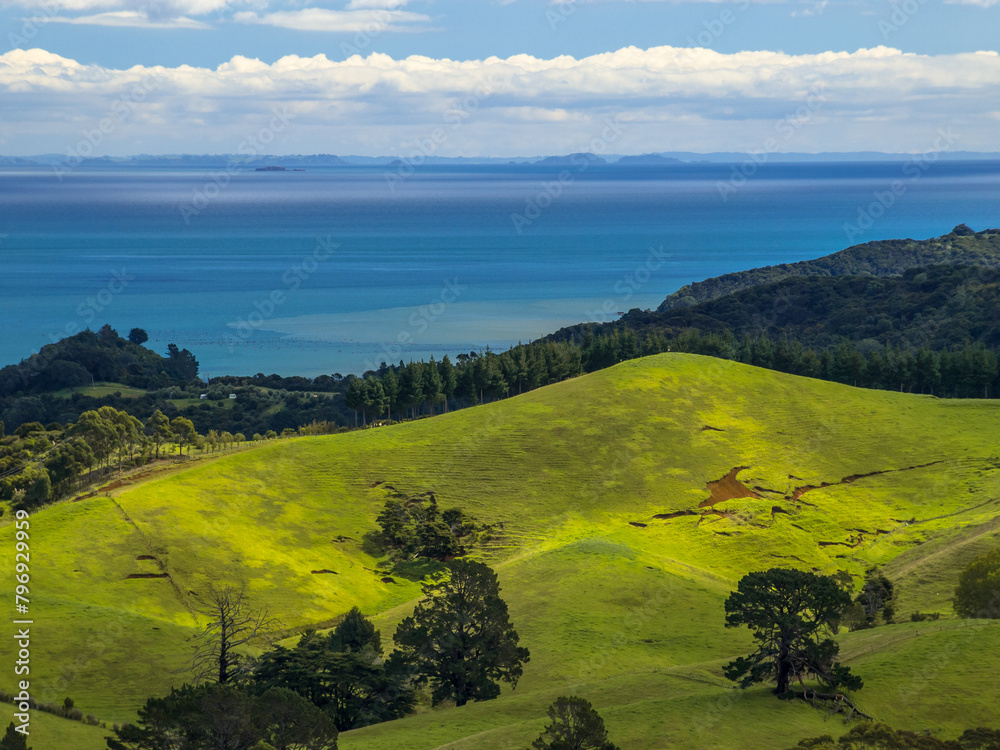 New Zealand erosion landscape green hills with sea