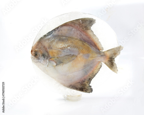 Silver pomfret covered in a piece of ice, after long time kept in freezer. not so fresh. photo