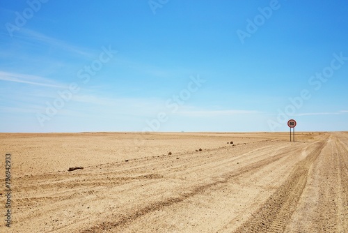 Panoramablick auf Wüstenlandschaft photo