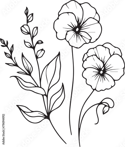 sweet pea vector illustration, beautiful sweet pea cathartic flower bouquet, hand-drawn coloring pages and book of artistic, blossom sweet pea, engraved ink art