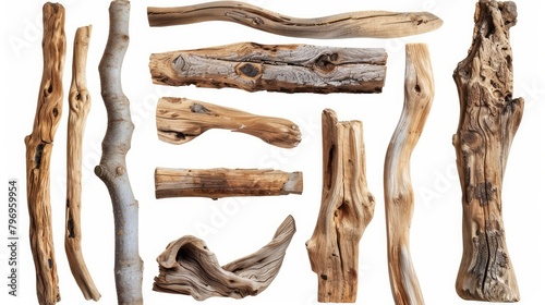 A collection of various textured pieces of driftwood artfully arranged on a clean white background.