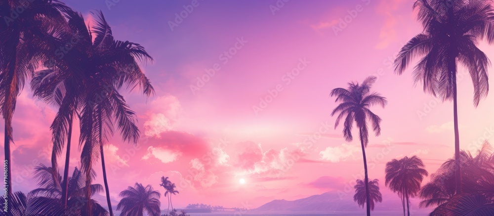 Palm trees silhouetted against tropical sunset