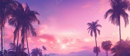 Palm trees silhouetted against tropical sunset