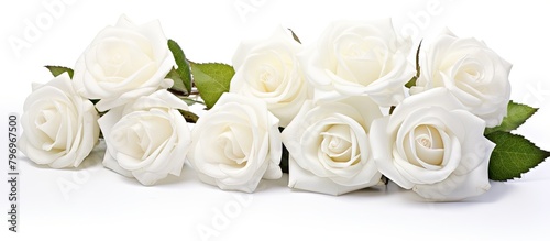 White roses on white surface