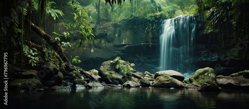 Tropical Jungle Waterfall Rocks Trees View