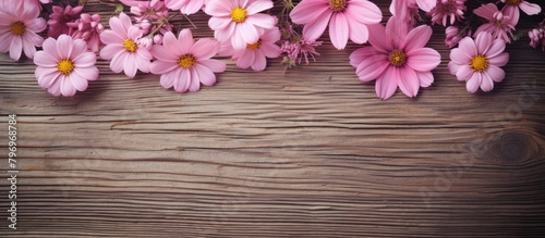 Pink blossoms on wooden space