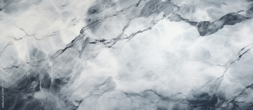 Fototapeta premium Black and white pattern on marble close-up