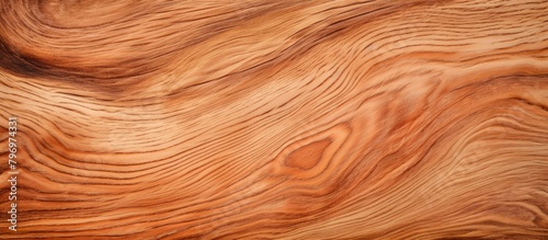 Texture of wooden surface up close
