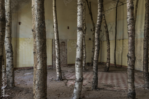 Tree trunks set up in a deserted room.