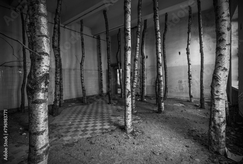 Tree trunks set up in a deserted room.

