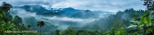 drone shot aerial view top angle panoramic photograph of steep deep valley canyon rainforest mountains peaks dense jungle. AI generated illustration