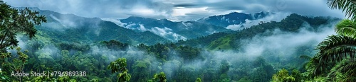 drone shot aerial view top angle panoramic photograph of steep deep valley canyon rainforest mountains peaks dense jungle. AI generated illustration