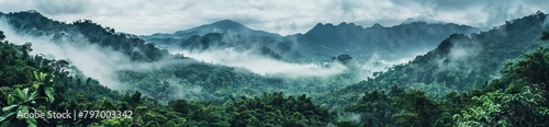 drone shot aerial view top angle panoramic photograph of steep deep valley canyon rainforest mountains peaks dense jungle. AI generated illustration © 3D