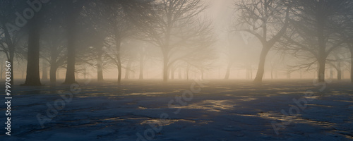 Sun shines through trees in foggy forest 3d render illustration © eliahinsomnia