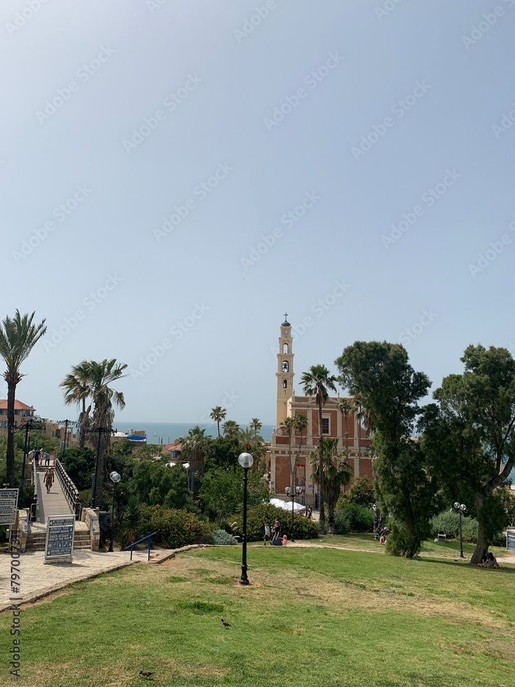 Fototapeta premium Landscape 