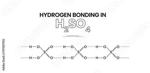Hydrogen Bonding in Sulphuric Acid