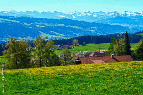 Frühling bei Weiler-Simmerberg im Westallgäu/Bayern 
