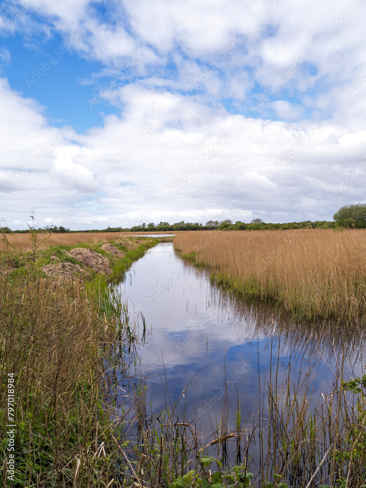 Reeds and wetland habitat at Far Ings, Lincolnshire, England