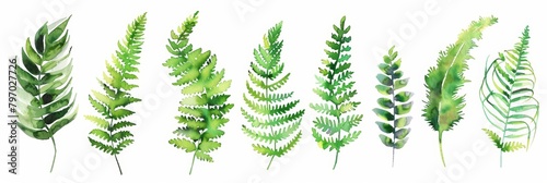 Watercolor Ferns on White Background Generative AI