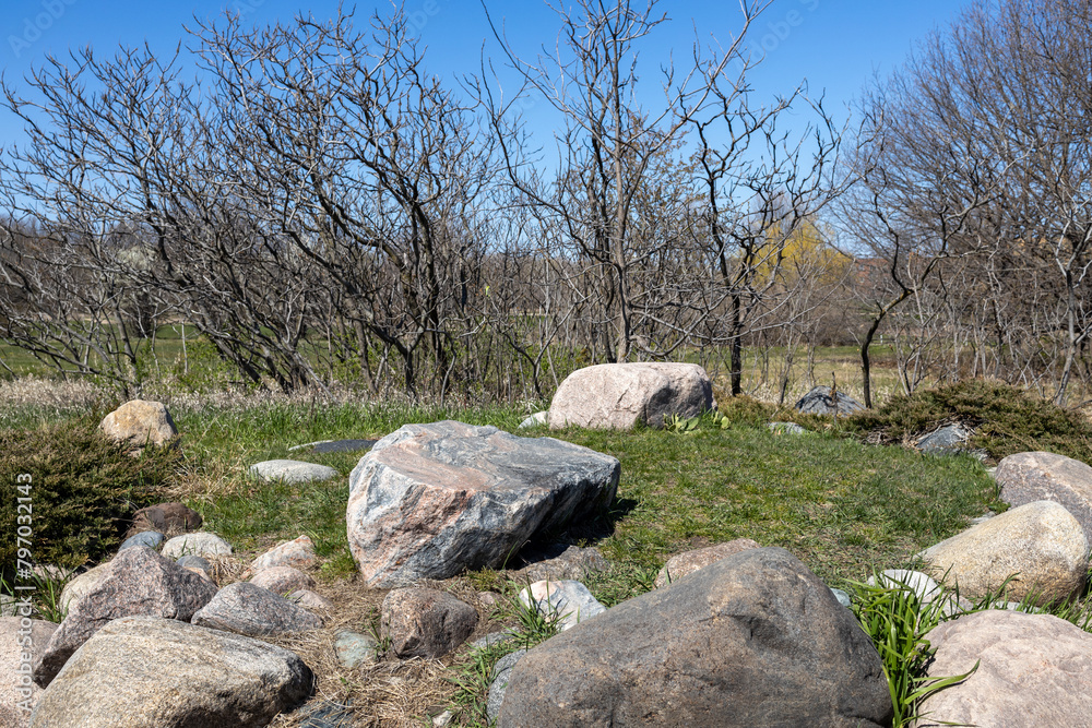 Cluster of large textured granite rocks setting on a treelined rise in a rustic nature park, in early spring Cluster of large textured granite rocks setting on a treelined rise in a rustic nature park, in early spring