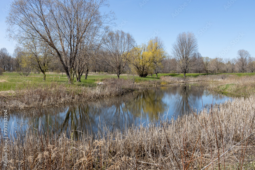 Scenic early spring landscape view of a rustic reflecting pond surrounded by over-wintered grass stalks and trees Scenic early spring landscape view of a rustic reflecting pond surrounded by over-wintered grass stalks and trees