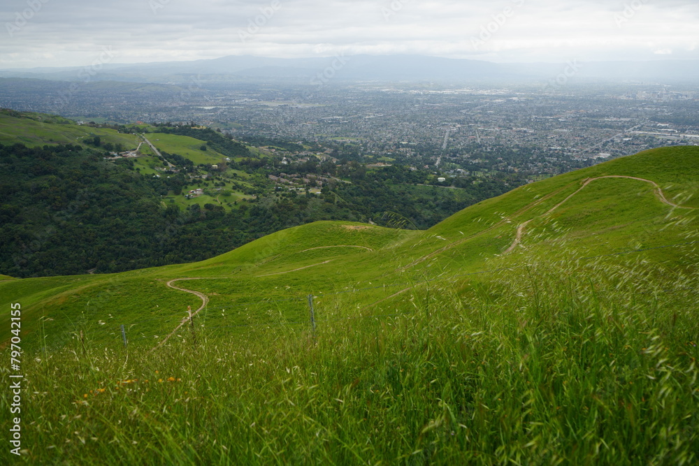 Envision a tranquil landscape adorned with rolling hills, verdant grass, and a winding trail, with the distant silhouette of San Jose, California adding a touch of urban charm to the serene countrysid
