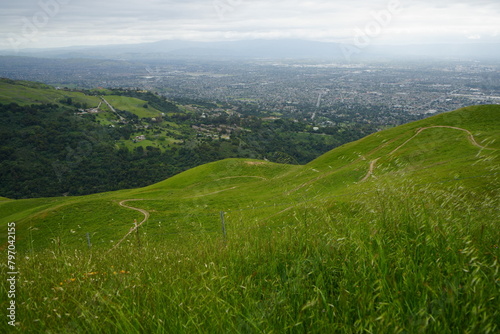 Envision a tranquil landscape adorned with rolling hills, verdant grass, and a winding trail, with the distant silhouette of San Jose, California adding a touch of urban charm to the serene countrysid