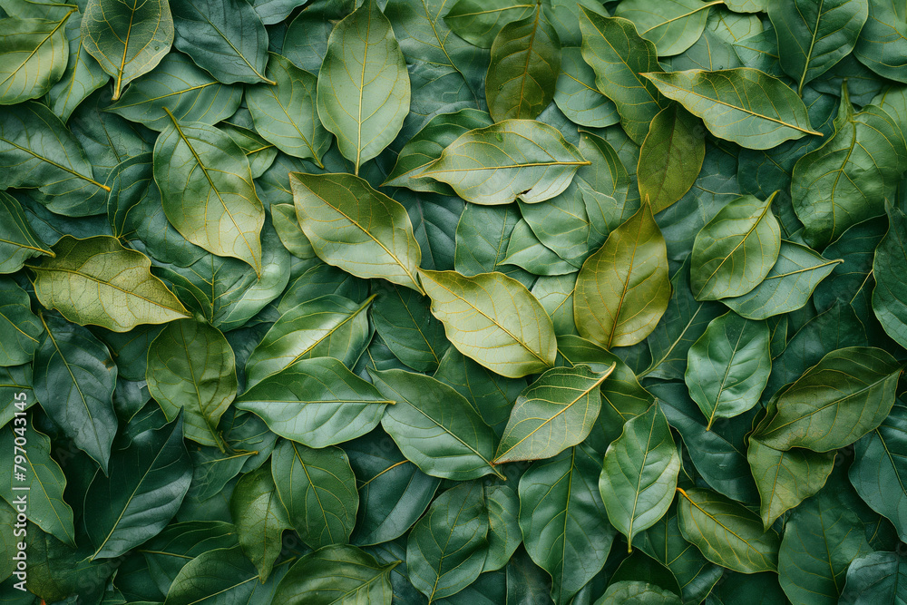 Lush Greenery Close-Up. Vibrant Leaf Textures for Natural Backgrounds - Freshness Concept Lush Greenery Close-Up. Vibrant Leaf Textures for Natural Backgrounds - Freshness Concept